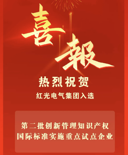 喜讯丨云顶集团电气集团入选国家重点试点企业名单