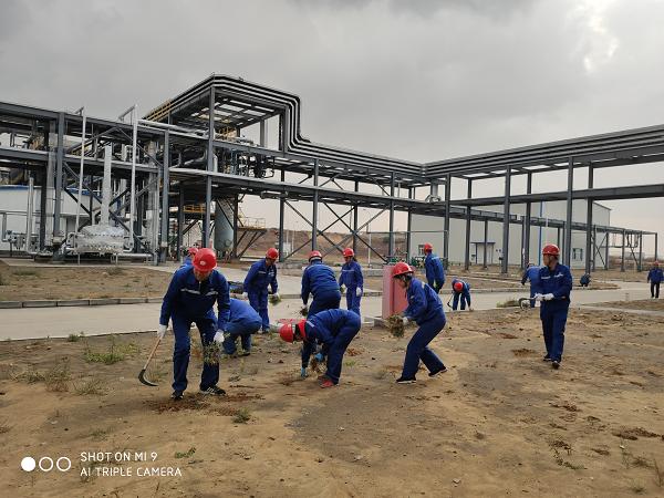 3499拉斯维加斯(官方认证)网站-Made in PRC